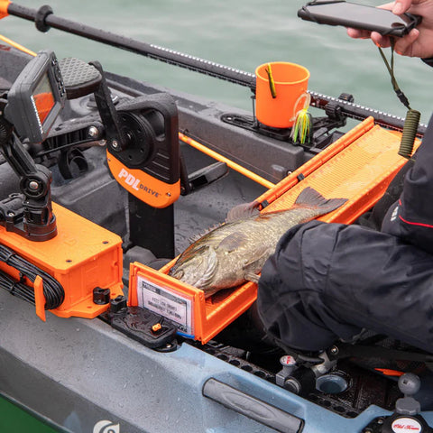 YakAttack LeaderBoard - 28" Measuring Board with Built-In Identifier Holders and Cull Tabs, Orange