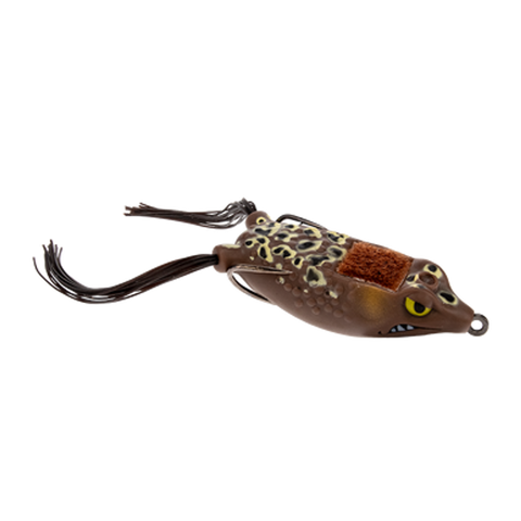 Boom Boom Frog
