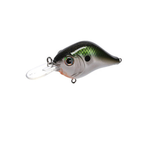 Bill Lewis - Mid-Range MR-6 Crankbait