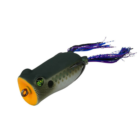 Frog Factory Boom Box